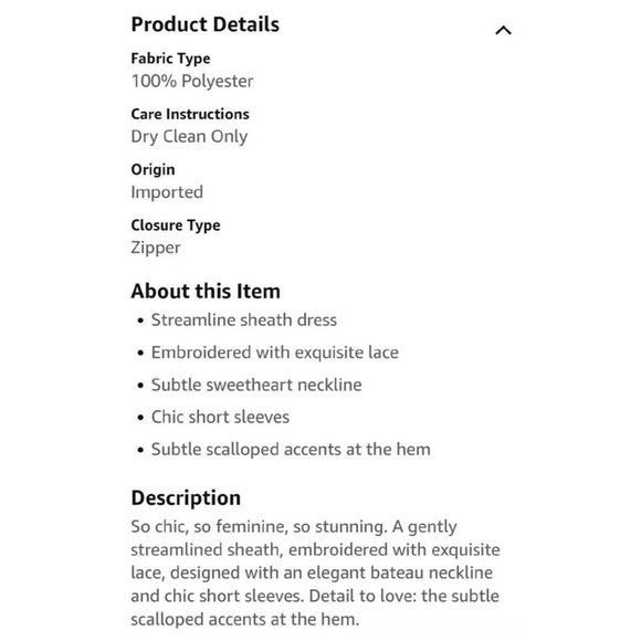 NWT Adrianna Papell Dusty Rose Embroidered Lace Popover Dress Size 2 NEW - Picture 12 of 15